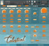 Chocolate Audio échantillonne un célesta pour Kontakt