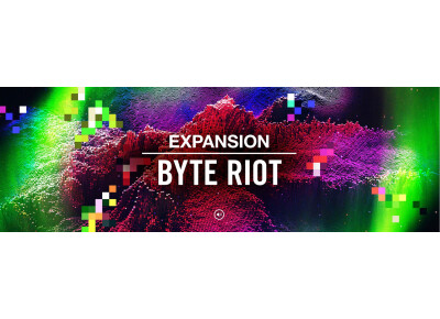Native Instruments Byte Riot