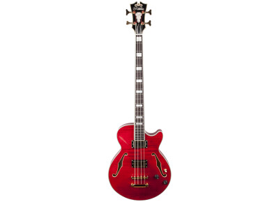 D'angelico Excel Bass