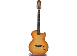 Yamaha AEX500NS