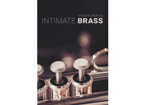 8dio Intimate Studio Brass