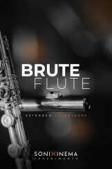 Sonixinema Brute Flute - Extended Techniques pour Kontakt