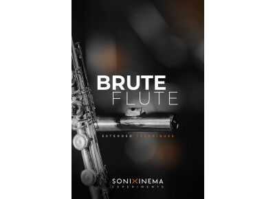 Sonixinema Brute Flute - Extended Techniques