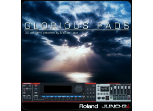 Barb and Co Glorious Pads Roland Juno-Gi