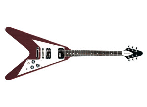 Edwards E-FV-120D