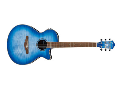 Ibanez AEG19II