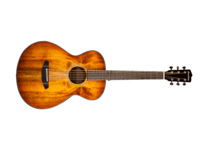 Breedlove Exotic Concertina Prairie Burst E