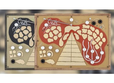 SOMA laboratory Enner