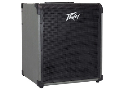 Peavey MAX 300