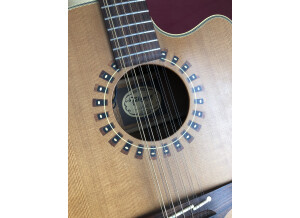 Takamine EN12C12