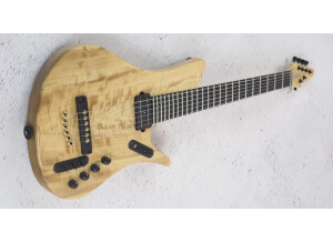 Manne Multi-Guitar