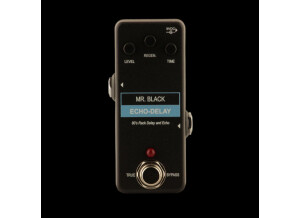 Mr. Black Mini Echo-Delay