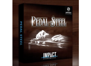 Impact Soundworks Pedal Steel