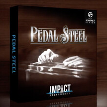 Impact Soundworks Pedal Steel