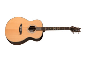 PRS SE T60E