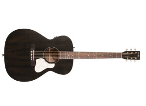 Art & Lutherie Legacy Q1T