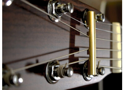 db Instrument Amp TruGlide