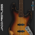 Ample Sound débute la vente de l’Ample Bass Jaco Fretless