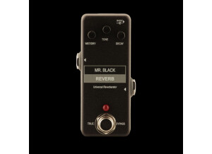 Mr. Black Mini Reverb Universal Reverberator