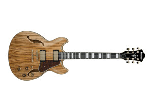 Ibanez AS93ZW