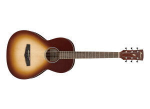 Ibanez PN19