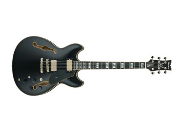 Ibanez JSM20 John Scofield Signature