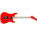 Voir la photo de la EVH 5150 Standard Maple EVH 5150 Standard Maple