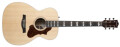 Godin a dévoilé la nouvelle Fairmount Rosewood au Summer NAMM
