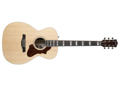 Godin Fairmount CH LTD Rosewood EQ