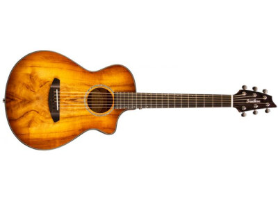 Breedlove Companion Prairie Burst CE