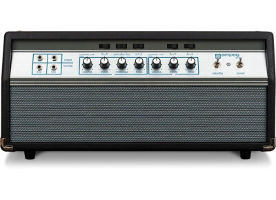 Ampeg Heritage 50th Anniversary SVT