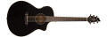 Des nouveaux modèles au sein de la série Discovery chez Breedlove