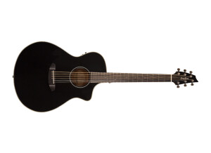 Breedlove Discovery Concert Satin CE Limited Edition