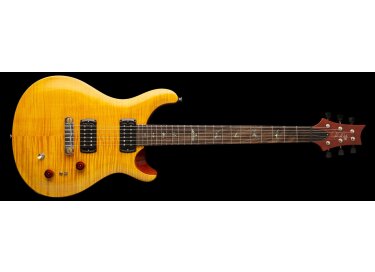 PRS SE Paul's Guitar