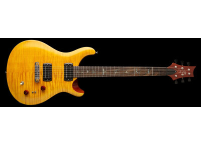 PRS SE Paul's Guitar