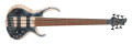 Deux nouvelles basses fretless chez Ibanez