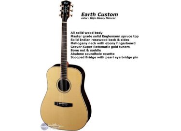 Cort Earth Custom