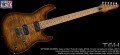 Une nouvelle série chez Kiesel Guitars baptisée Theos