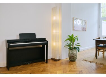 Kawai CN29