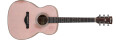 Un nouveau modèle acoustique chez Ibanez