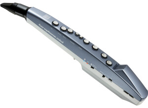 Roland Aerophone Mini