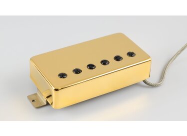 Acy's Guitar Lounge Wild Honey