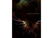 Auddict Angel strings Vol. 1