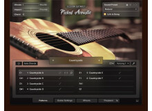 Native Instruments Session Guitarist - Picked Acoustic