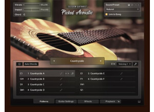 Native Instruments Session Guitarist - Picked Acoustic