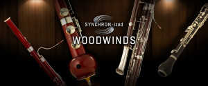 VSL (Vienna Symphonic Library) Synchron-ized Woodwinds