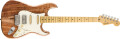 Une nouvelle Stratocaster au sein de la série Rarities