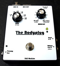 D&D Modules The Bodyplug