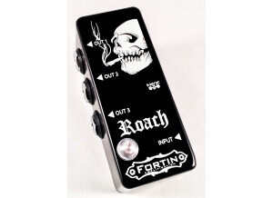 Fortin Amplification Roach