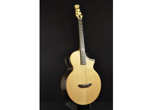 Luthier Thierry Haclin La palisandre